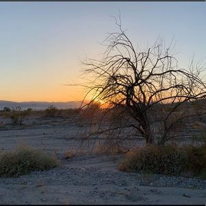 Meet your Posher, Sally